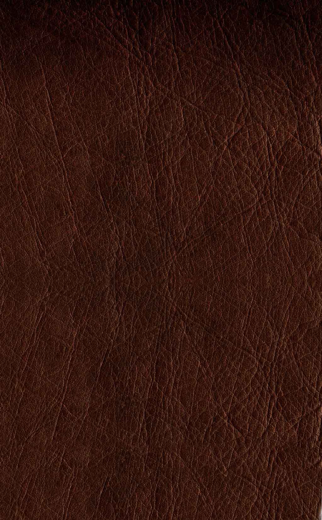 leather background